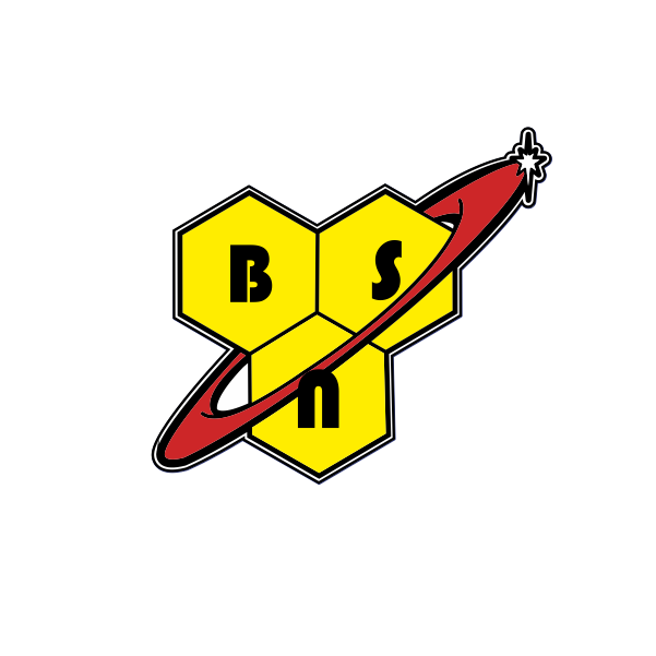 BSN