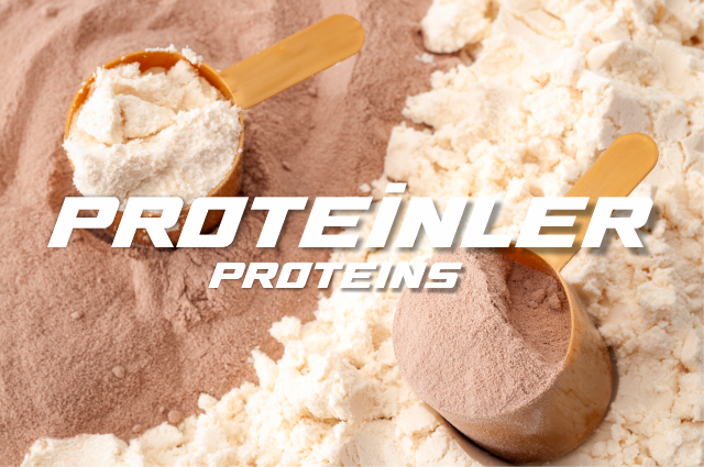 Proteinler