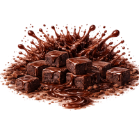 Chocolate Fudge